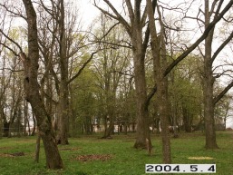 Gruzdziu_a_siau_gruz_028-c0ec4671099148bc12615d7c60e4e894.JPG