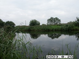 Gulbinenu_a_pasv_gulb_033-576e70e601de22fae7d2383fecb0587e.JPG