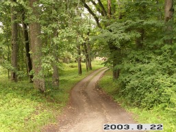 Ilzenbergo_a_roki_ilzen_046-7b3516a1704fee9c15f42cb912c2e7f6.JPG