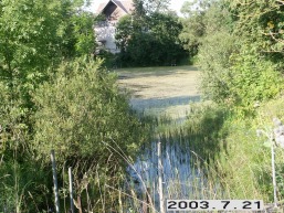 Jasiuliskio_a_ukme_jasiulis_076-460efd995c7581e1416f55cfca0f8ee6.JPG