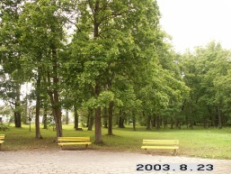 Joniskelio_a_pasv_jonis_016-d69197a0fdb2de24287ddadebf443bd3.JPG