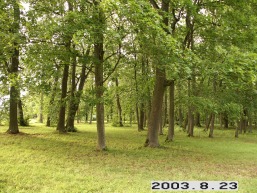 Joniskelio_a_pasv_jonis_018-a114e0ea6893d96097944e1ba43cb131.JPG