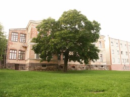 Jotainiu_a_pane_jotain_005-2ee80515f8240e5a895a41159ea66390.JPG