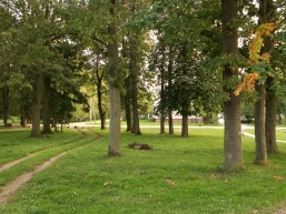 Jotainiu_a_pane_jotain_012-f9745510a01625cef7de2bffd0637497.JPG