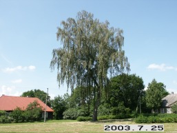 Jundeliskiu-Paverkniu-Ustrones_a_prie_jundel_059-488aa35aba4599bb3969987626186f82.JPG