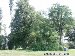 Jundeliskiu-Paverkniu-Ustrones_a_prie_jundel_070-e61a333ad594b5149d94cd07592e1184.JPG