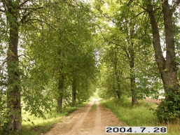 Juodkaiciu_a_skuo_juod_056-19dca041c945895c515c5feeea0178ec.JPG