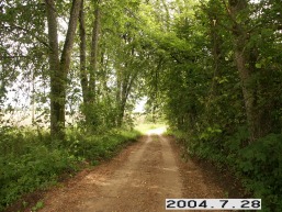 Juodkaiciu_a_skuo_juod_057-2d5cc376626dc53270901deeba2a16a0.JPG