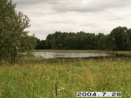 Juodkaiciu_a_skuo_juod_058-ac1cc4a78c233e92a51e7b2530a81e02.JPG