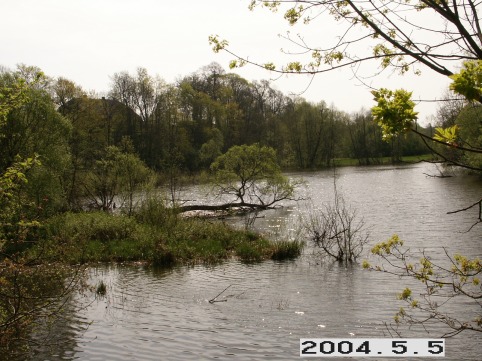 Kairiskiu_a_akme_kair_047-9bede2eae96c4ce9dc445c35fd48ad2b.JPG