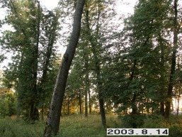Kalnaberzes_a_keda_kalnab_069-4831eb608de39fac00bb38d42b3eaefe.JPG