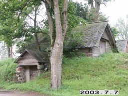Kalno-Rieses_a_viln_kalnries_032-5c940feca3781abccb4659ae981c803e.JPG
