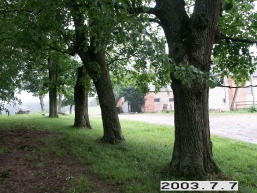 Kalno-Rieses_a_viln_kalnries_033-207f016445dd7237a6ef2a7ca3fc0034.JPG