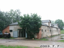 Kalno-Rieses_a_viln_kalnries_036-680b394532e610e19eeccc09f515623a.JPG