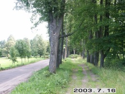 Kaltanenu_a_sven_kaltan_021-43c388186e7e6273762882b31c83c3ab.JPG