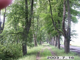 Kaltanenu_a_sven_kaltan_023-be04dd442e12370f6829d3e785efbad2.JPG