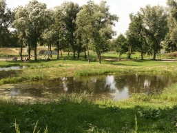 Kalvarijos_a_mari_kalv_004-079b677a52c8787ff8e844adbbd893d1.JPG