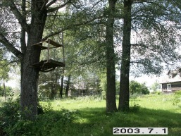 Kariotiskiu_a_traku_kariot_008-5c636b0b4fe2805689568d434c5ae688.JPG