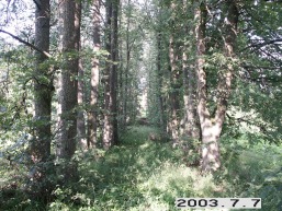 Kazimieravo_a_viln_kazimierav_024-32b26615cecb79408fed86aa79c1ac2c.JPG