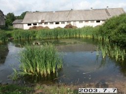 Kazimieravo_a_viln_kazimierav_027-42d0dc3700d09b103674086a3a54b64a.JPG