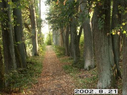Kazitiskio_a_igna_kazit_005-dc2382bd18f44fee44be172c9fc6d89a.jpg