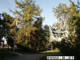 Kazitiskio_a_igna_kazit_008-be7dcb66151dc6deea9b96ade9f706b1.jpg