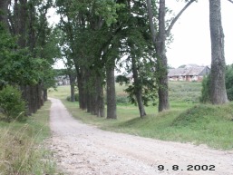 Kazokines_a_igna_kazok_005-e20e334da6d1ad8a98e877735c4b5ed7.jpg