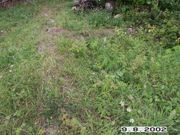 Kazokines_a_igna_kazok_007-da3f4f65f5bbd73122e55a7f5ed4f453.jpg