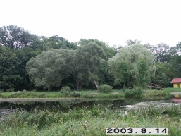Kedainiu_a_keda_kedain_011-80e64cb264208ce24257b9712a6899aa.JPG