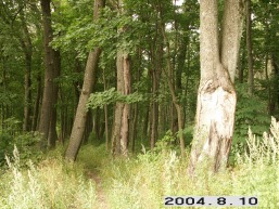 Kliosiu_a_klai_klio_001-142e1d999f131b481a6583fc6adf5cb2.JPG