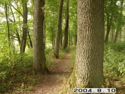 Kliosiu_a_klai_klio_002-944b7d166ca423a37c5fbd314c4c4cab.JPG