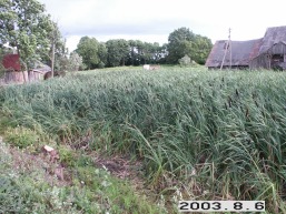 Krivenu_a_kaun_kriven_020-2d6746305f6d27fbff6637e7fad07dd1.JPG