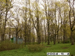 Kruopiu_a_akme_krop_109-07c72f1320cff44f856a674390ce20dd.JPG