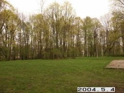 Kruopiu_a_akme_krop_111-9efe031d703e7a090c629a7445d780a2.JPG