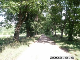 Kudrenu_a_kaun_kudren_093-9586bb174009ce1820575ffc9f0961d6.JPG