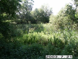 Kurenu-II_a_ukme_kuren_065-0ea2444a4cd897286e9c913401b5ec74.JPG