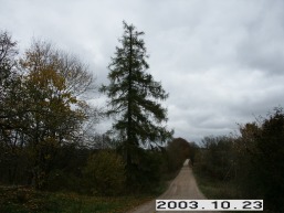 Kurkliu-II_a_anyk_kurkl_013-47b8c8db9158489b9dccdf1de665bd88.JPG