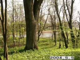 Kursenu_a_siau_kurs_017-1ba738fd6c79a776207456647da686ac.JPG