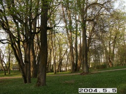 Kurtuvenu_a_siau_kurt_001-7816e78b6c3968b92527964c5d3b74e0.JPG
