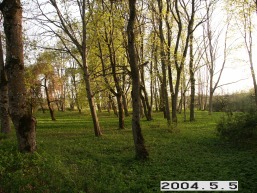 Kurtuvenu_a_siau_kurt_003-9073d600aec5239efadd91f09100ba11.JPG