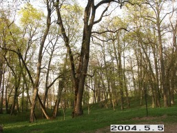 Kurtuvenu_a_siau_kurt_007-80a2cb48297baea683bbf71221cb93fc.JPG