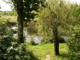 Kvietiskio_a_mari_kvie_020-32d68e7bf574daa48fddf2043ba0132d.JPG