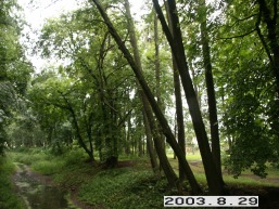 Kvintos-Slapaberzes_a_keda_kvint_007-2288d84f616570bc101da1329c98dd24.JPG