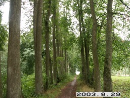 Kvintos-Slapaberzes_a_keda_kvint_008-4c0a984ddbef223306672024270881bc.JPG