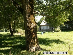 Labardziu_a_sila_laba_045-2321ba3e6b1b99c3c5950d65375b5793.JPG