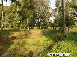 Lankininku-Teodoravo_a_taur_teod_078-4d0b1e581a31f9a3ce374ecb9ba03450.JPG