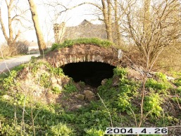 Lasmenpamusio_a_pakr_lasm_072-3d0a3c06dd23e580c2894efc4b9d78a0.JPG