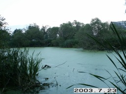 Laumenu_a_ukme_laumen_048-01b445ee30300ae655225ed5e4ade1a3.JPG
