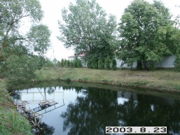 Lavenu-Niurkoniu_a_pasv_laven_081-0239367ec5ff3d41d58d02d13d7cc443.JPG