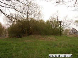 Lazdyniskiu_a_joni_lazd_010-4facbf0ccfdce30bc9cb84a0b98e7f2b.JPG